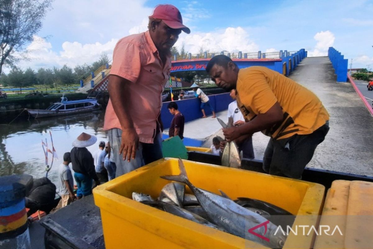 Bantuan pemerintah dongkrak produksi ikan tangkap Pariaman jadi 6.644 ton