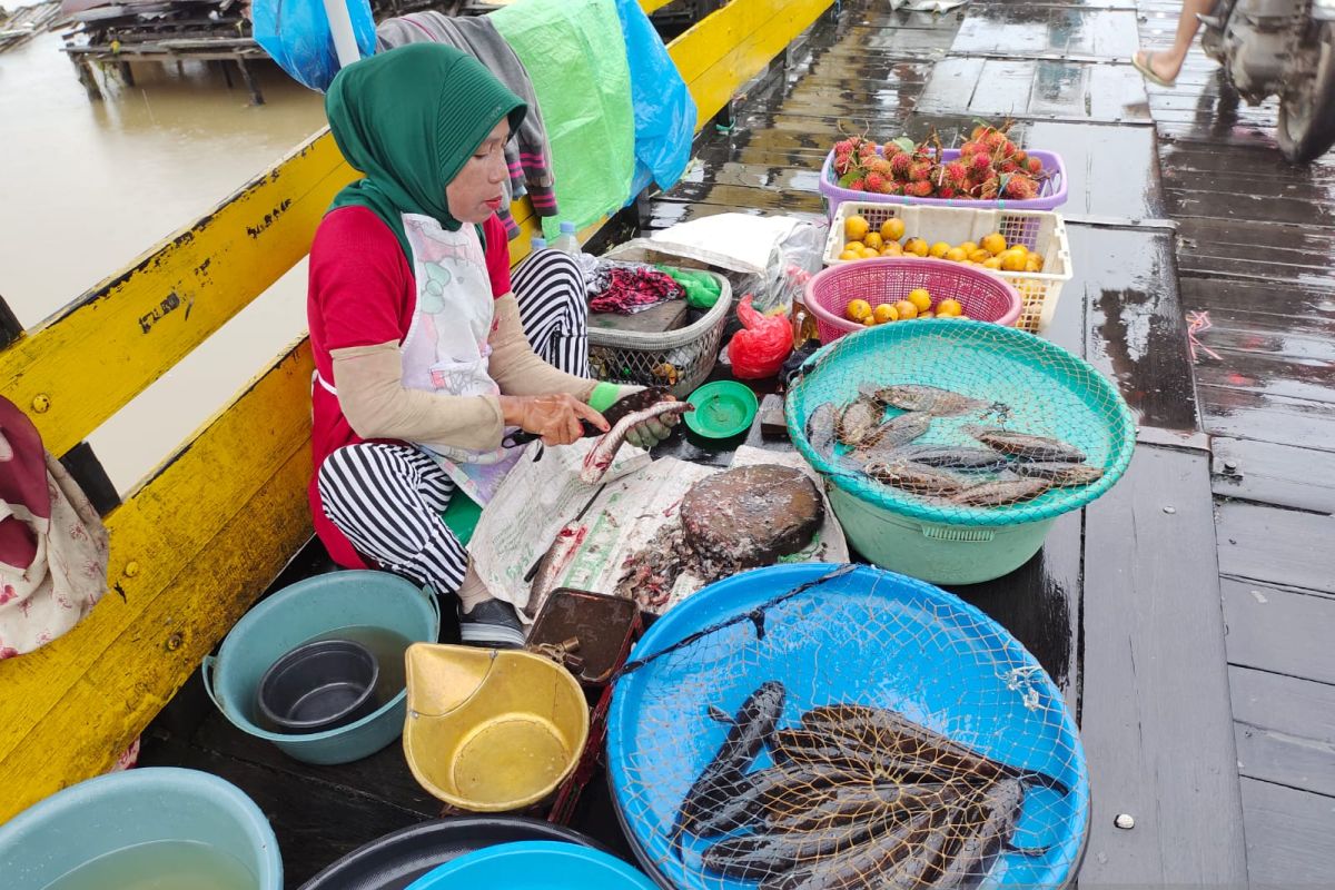 Produksi ikan lokal di Banjarmasin menurun akibat hujan terus menerus