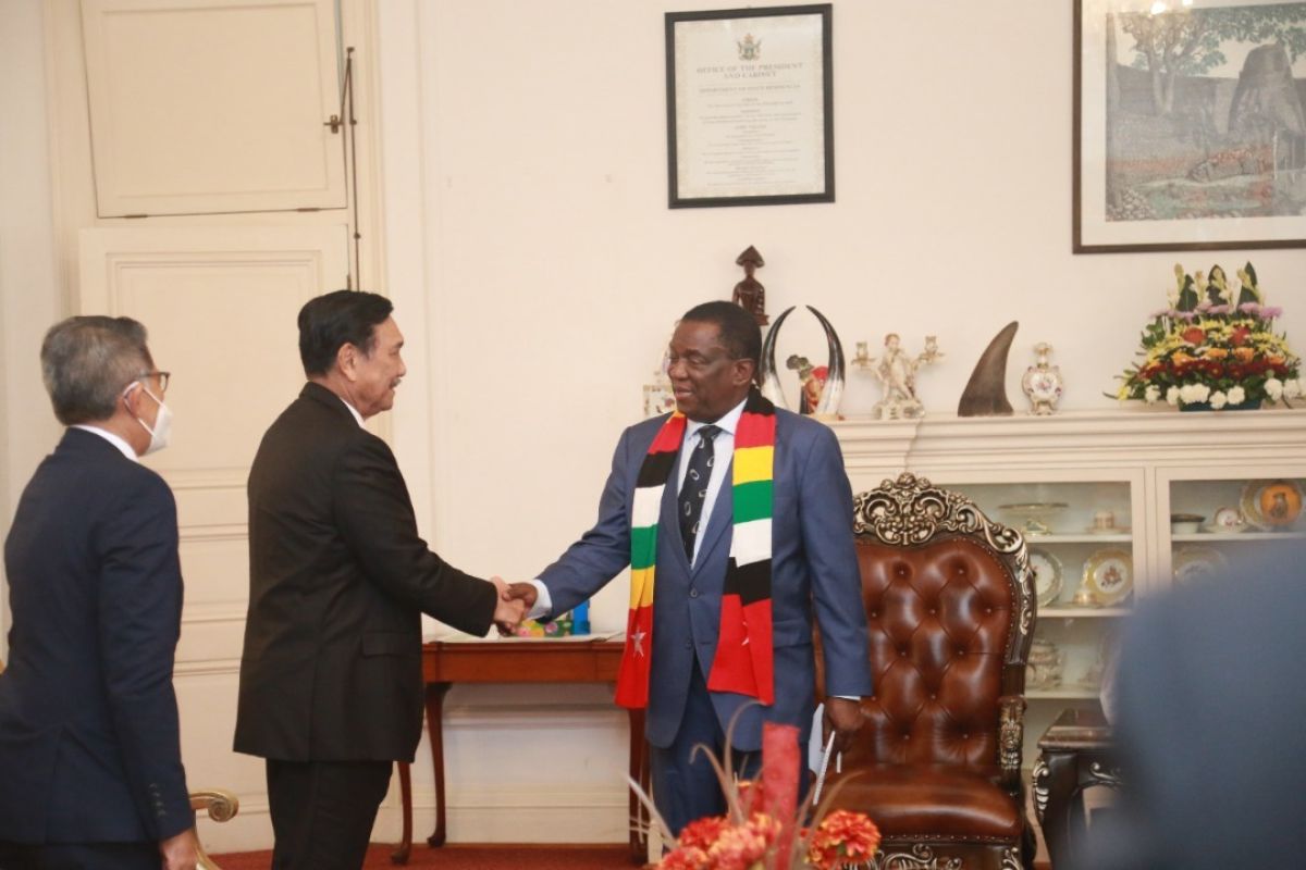 Menko Marves kunjungi tiga negara Afrika guna persiapkan kunjungan Presiden