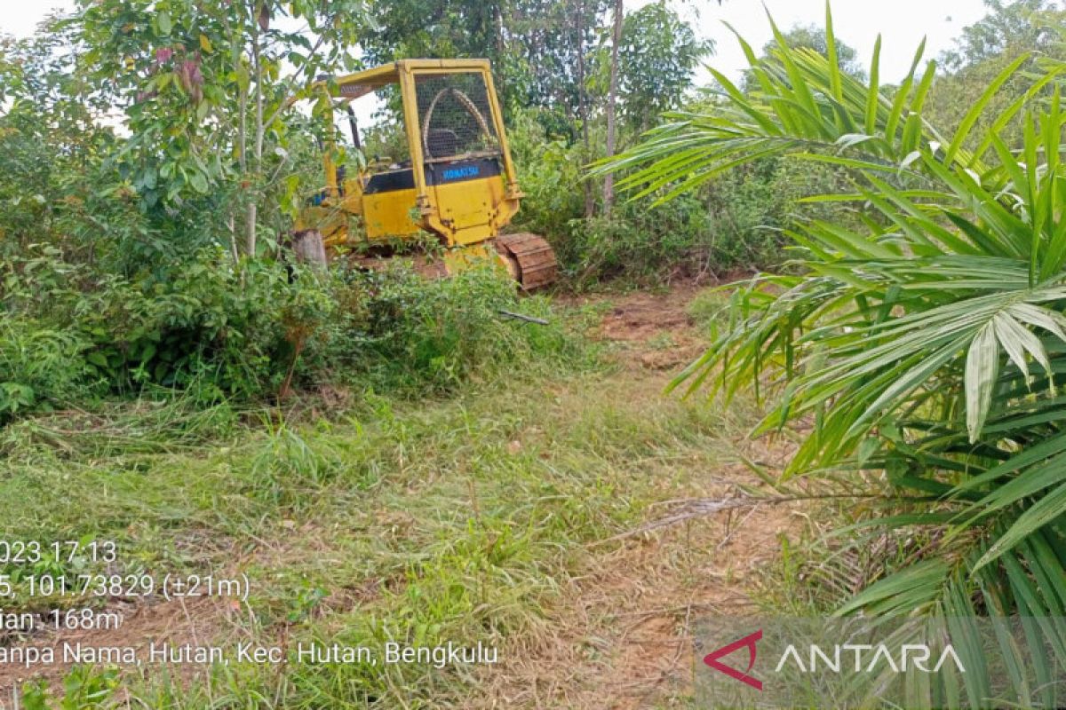 KPH Mukomuko: 500 hektare hutan ditanami sawit