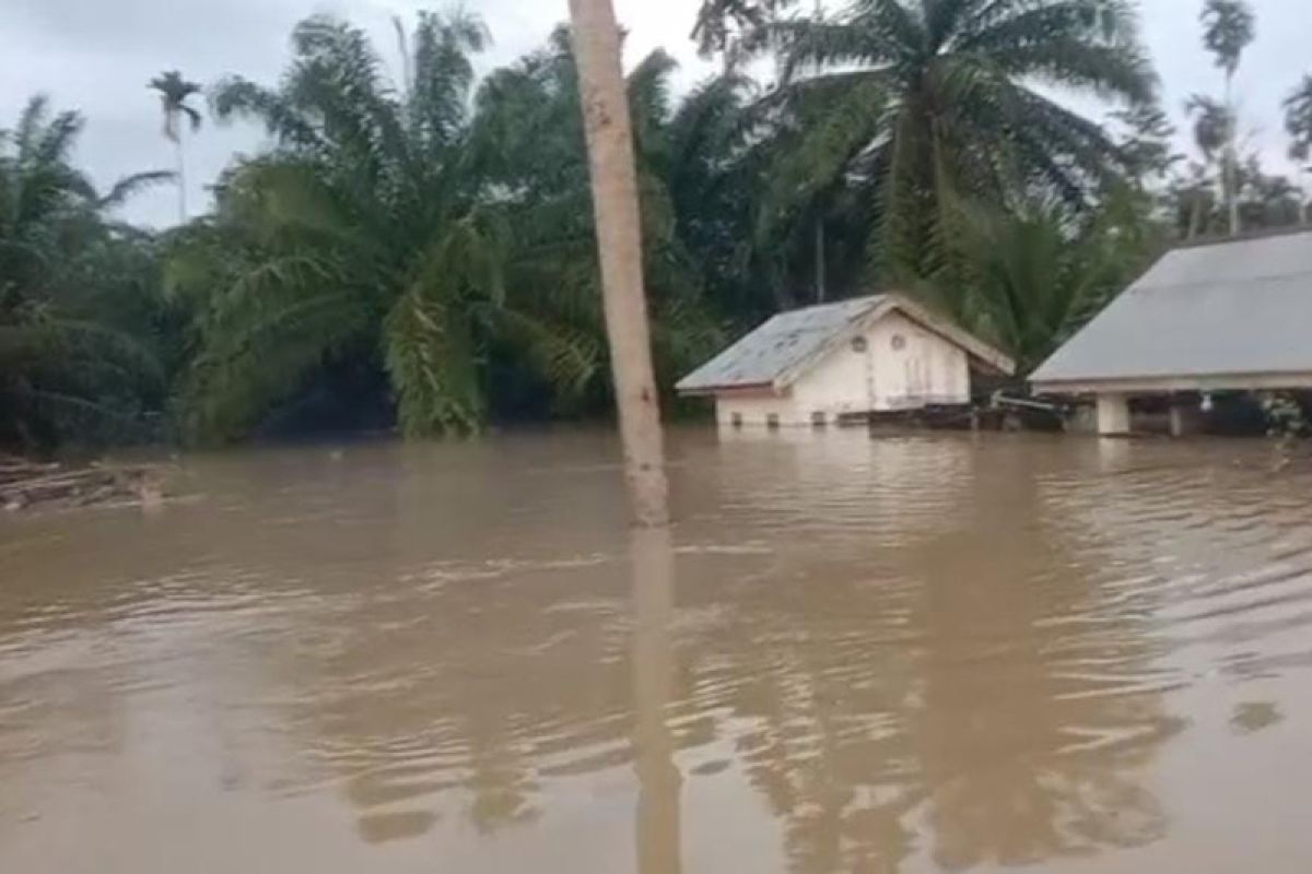 263 hektare lahan perkebunan di Aceh Utara terendam banjir