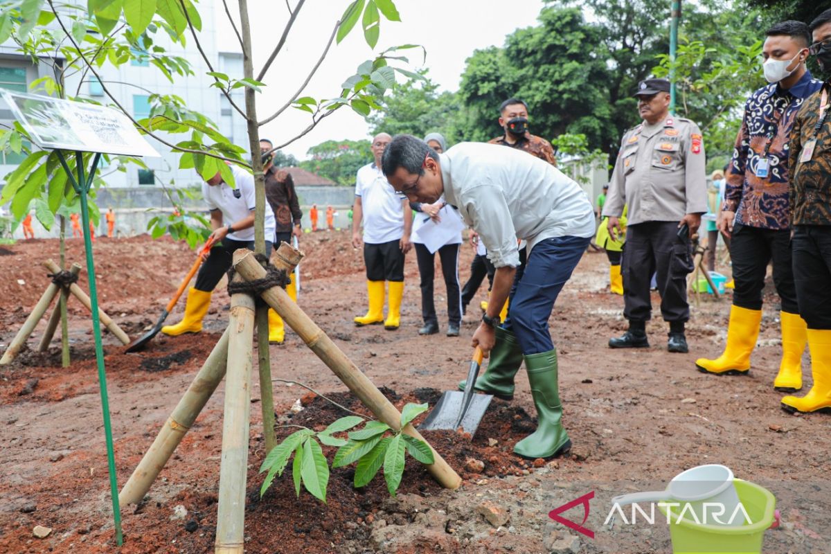 Heru hijaukan lahan aset daerah dan ruang publik di Jakarta