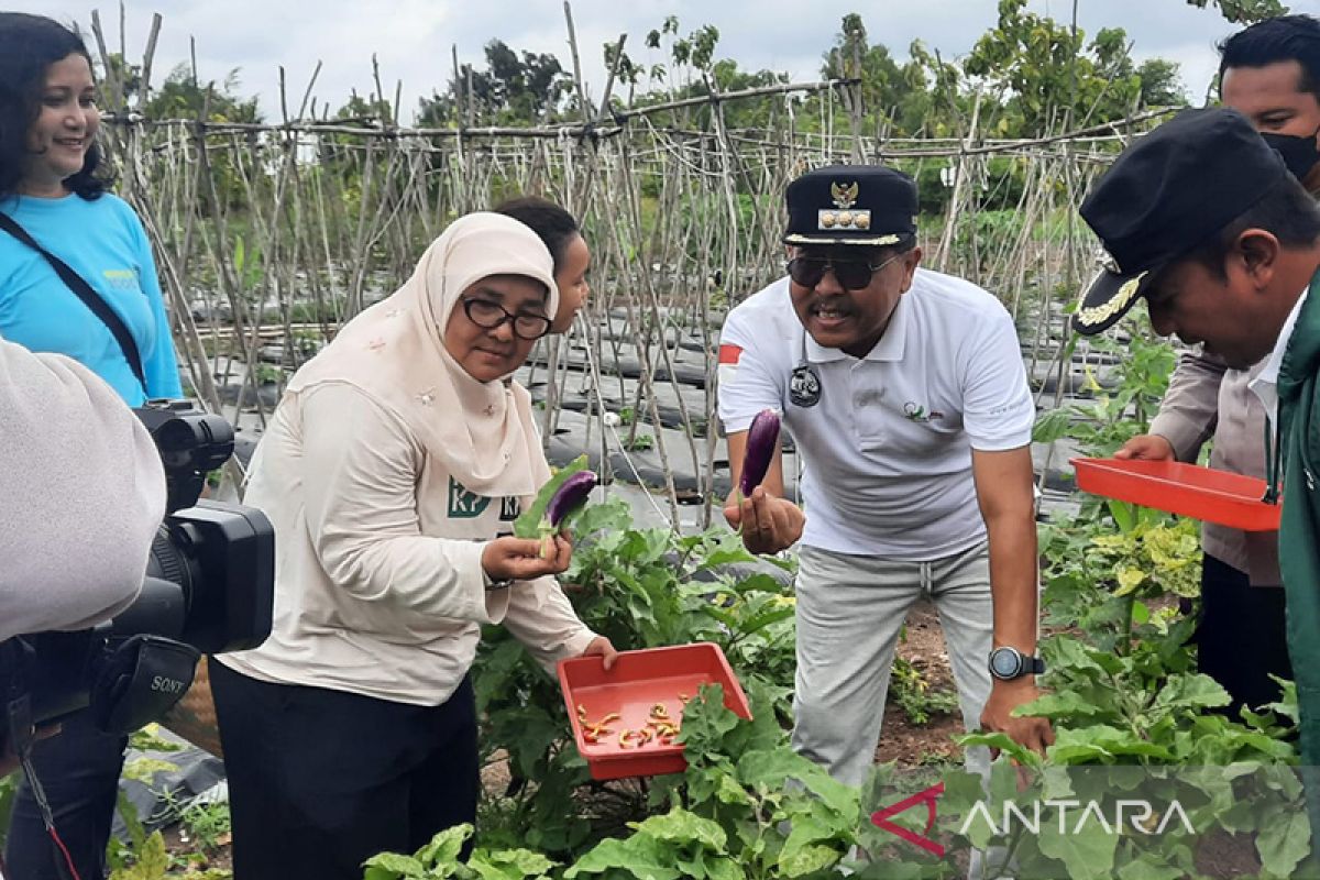 Jakarta Barometer dukung DKI bangun lumbung pangan di Kepulauan Seribu