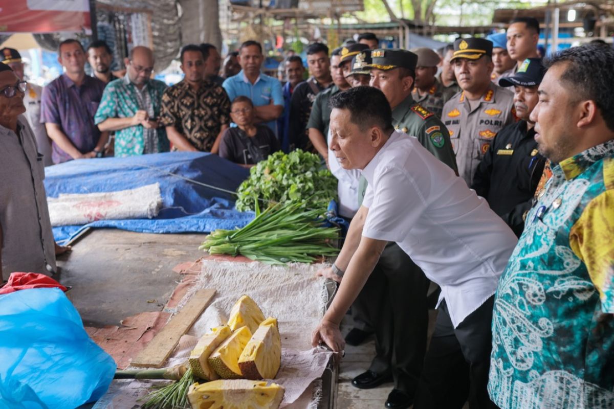 Tindak lanjut arahan Presiden terkait Inflasi, Pj Gubernur Aceh tinjau Pasar Lambaro