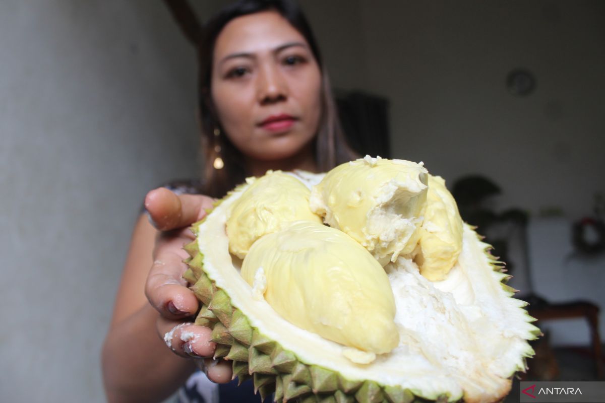 Ahli gizi ungkap soal mitos durian tinggi kolesterol