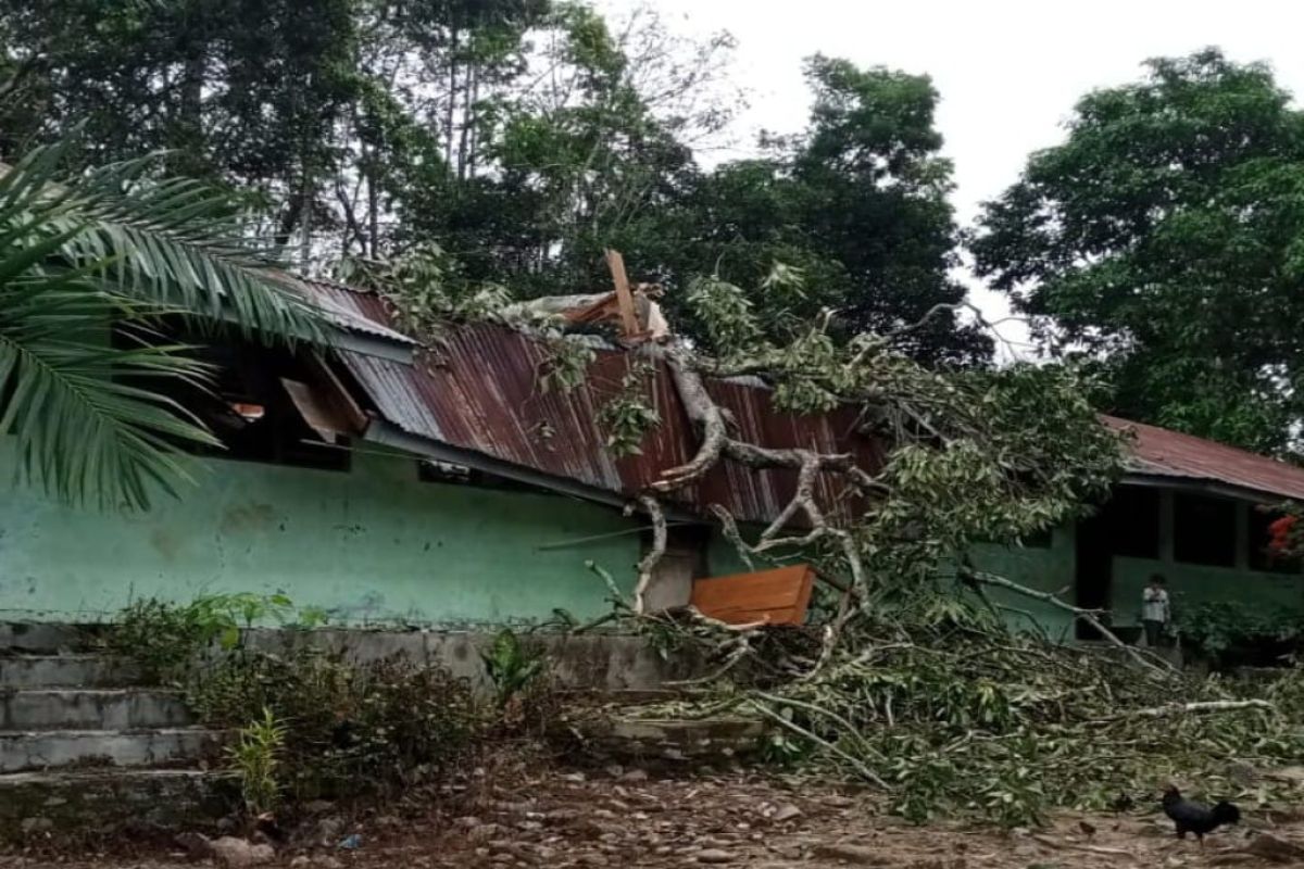 Atap SDN 125 Tebing Tinggi ambruk tertimpa pohon