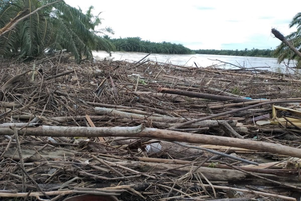 Puluhan kubik sampah kayu hanyut terbawa banjir di bibir tanggul jebol sungai Aceh Tamiang