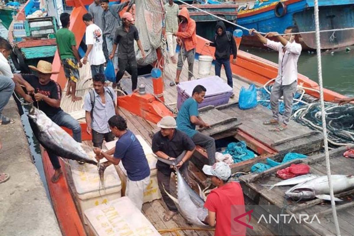 Tangkapan ikan nelayan didaratkan di PPI Pusong capai 4.984,3 ton