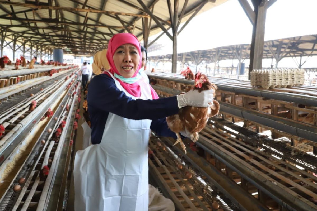 East Java committed to building food security, self-sufficiency