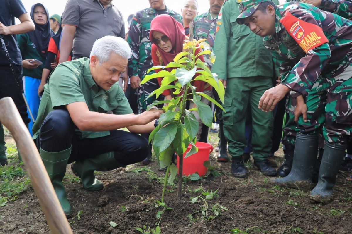 Ganjar dan warga Desa Nyemoh tanam 1.500 bibit pohon di DAS Tuntang