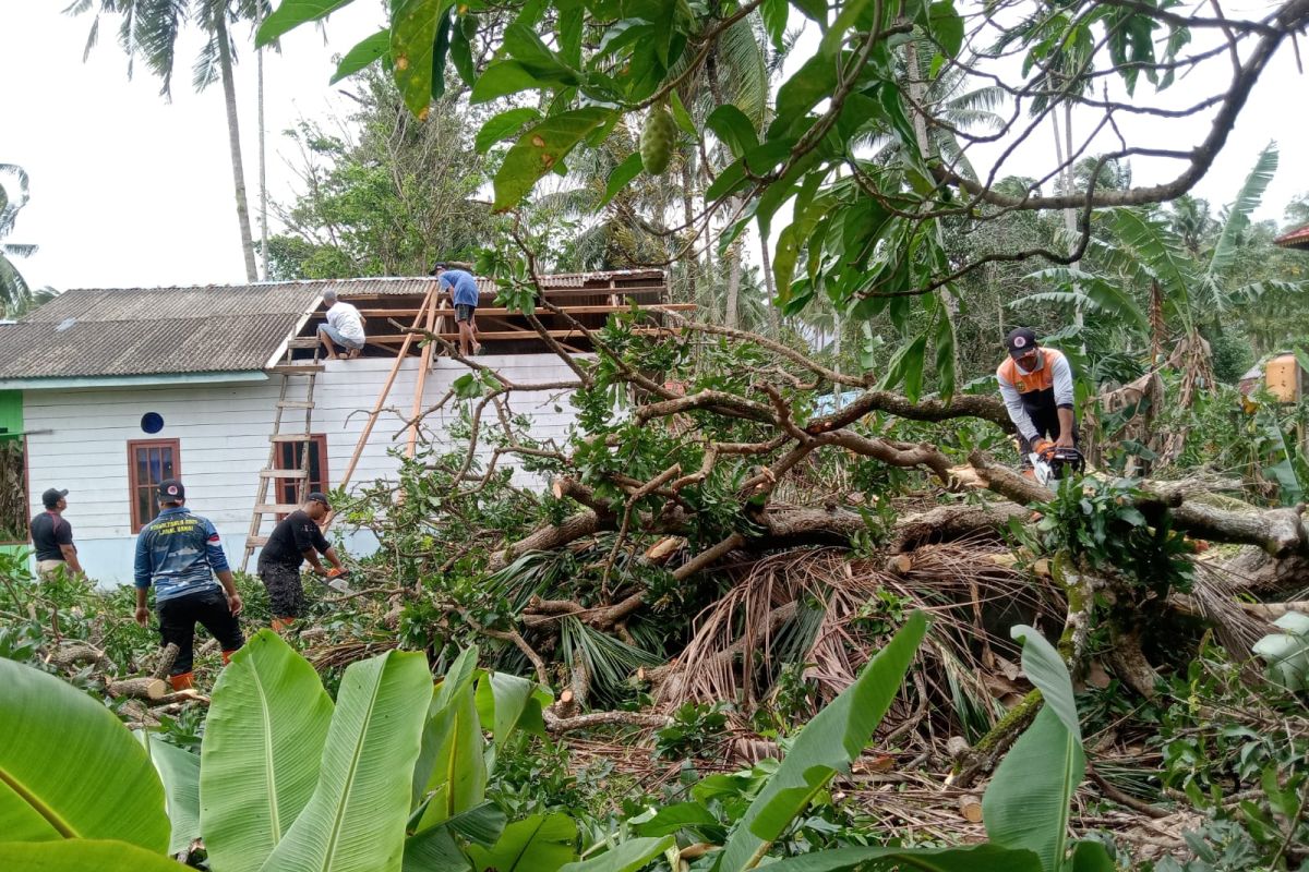 Satu rumah di Natuna tertimpa pohon karena angin kencang