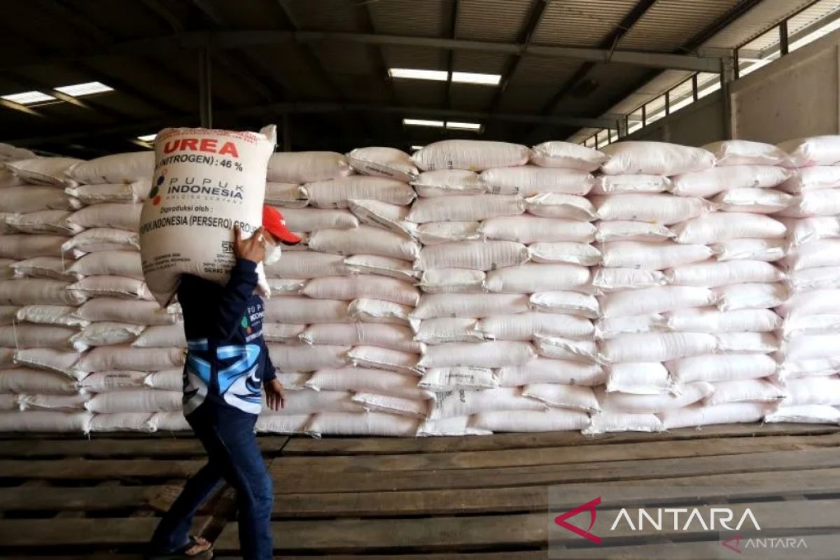 Pupuk Indonesia siapkan 310.882 ton pupuk bersubsidi untuk KTI
