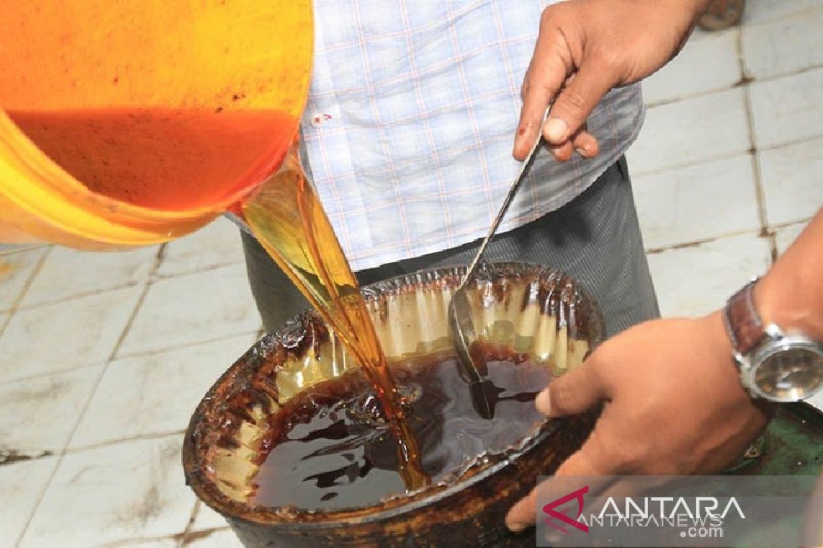 Perusahaan binaan BRIN di Aceh kembangkan tiga produk baru dari nilam, patut didukung