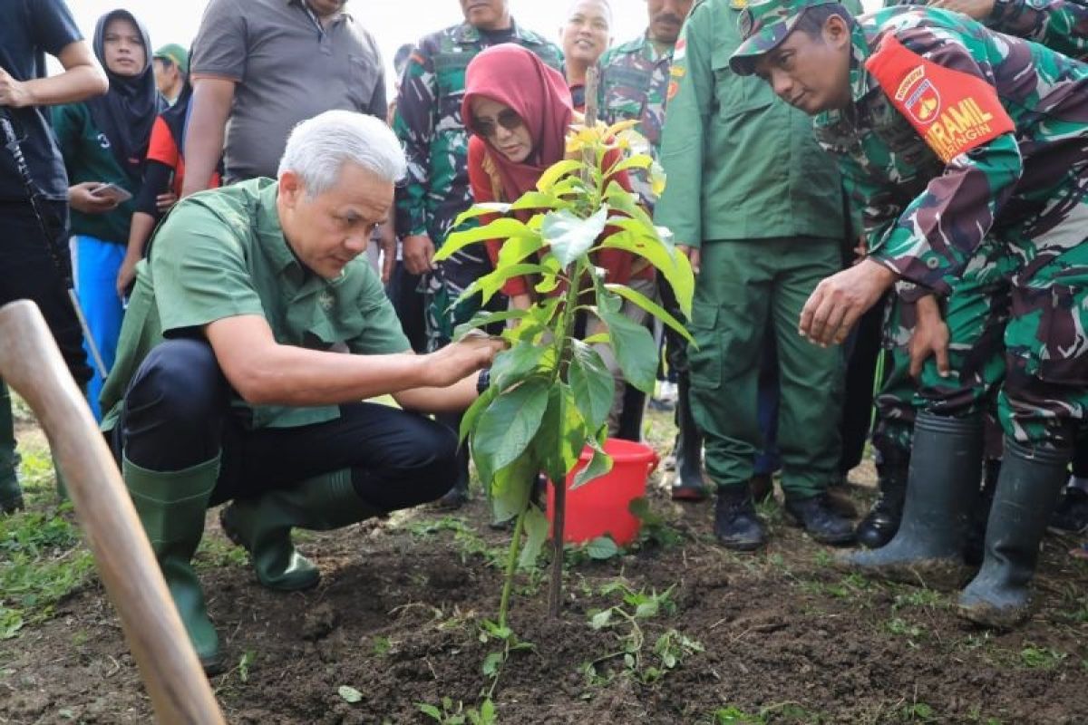 Ganjar Pranowo dan warga tanam 1.500 bibit pohon selamatkan lahan kritis