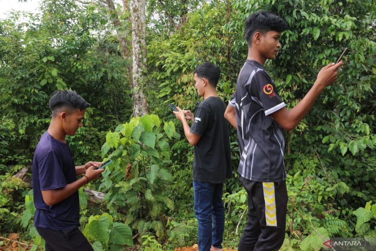 Sebanyak 22 sekolah di Aceh Jaya belum terakses jaringan internet