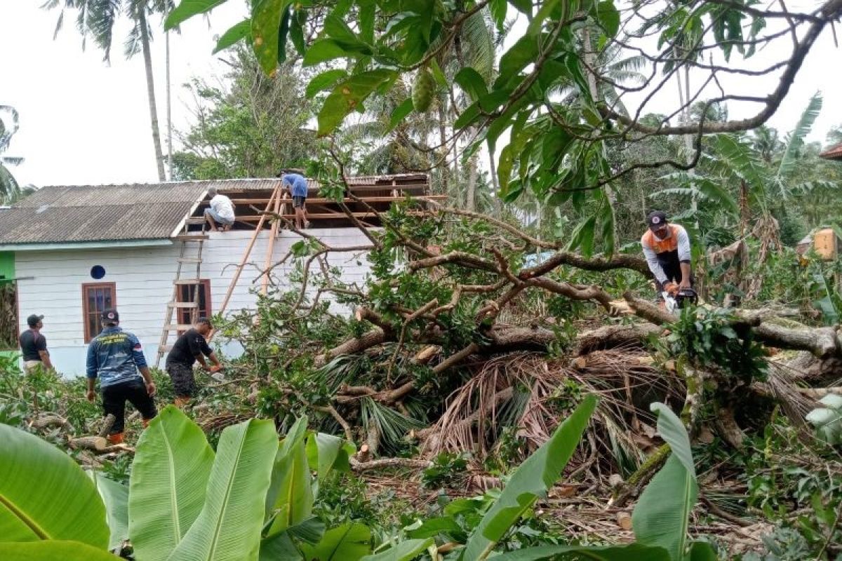 Satu rumah warga Natuna rusak tertimpa pohon karena angin kencang