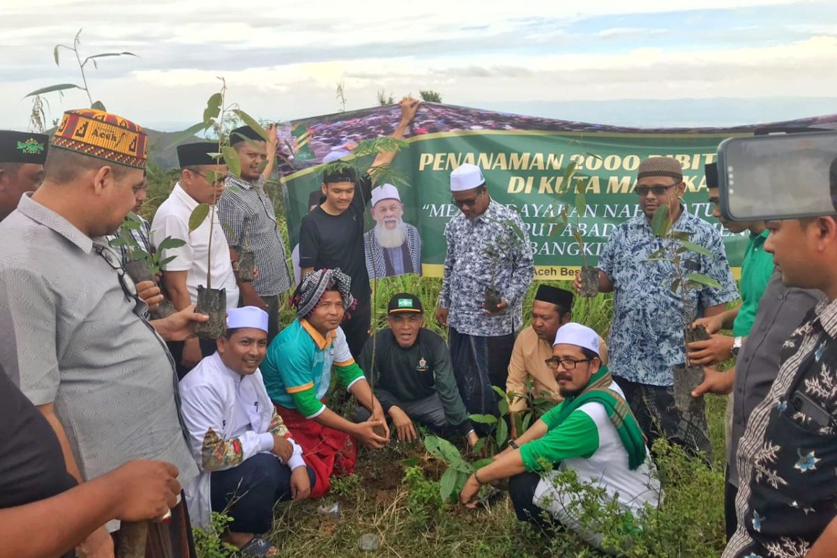Peringati 1 Abad Nahdlatul Ulama, PWNU Aceh Tanam 2.000 pohon