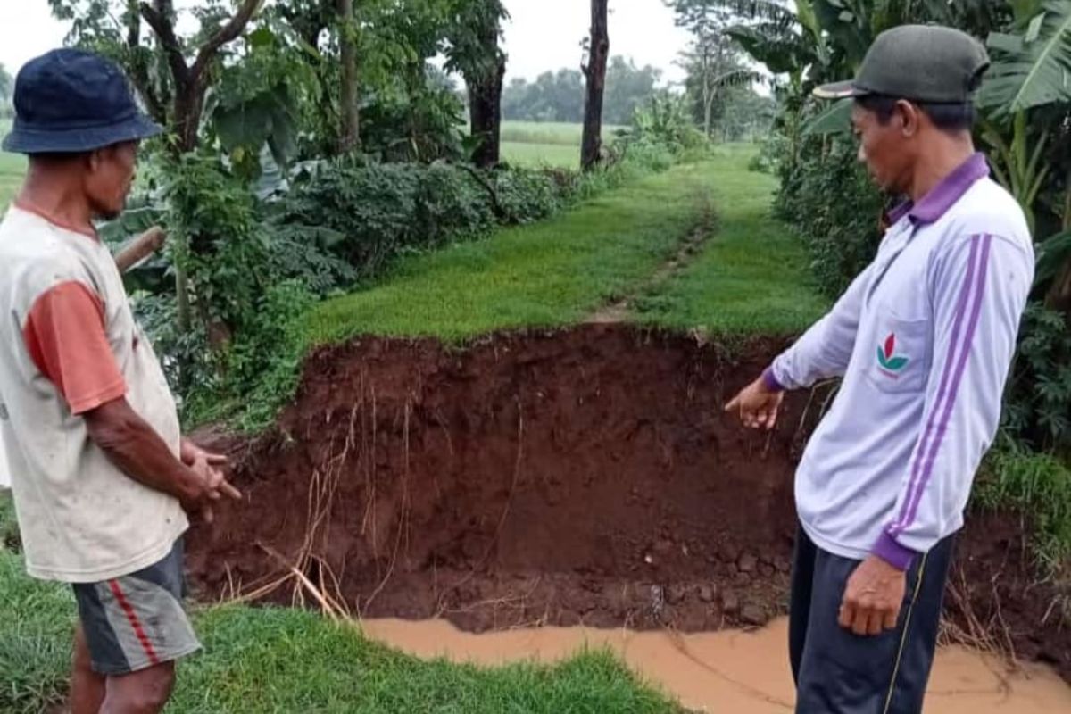 BPBD Kabupaten Kediri data tanggul jebol akibat hujan di Tarokan