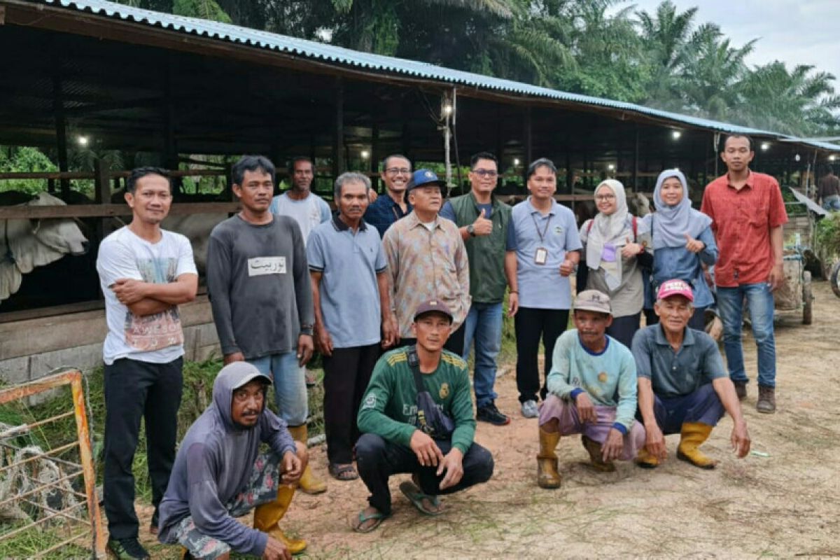 851 pelaku pertanian di Kabupaten PPU kembangkan usaha dengan KUR