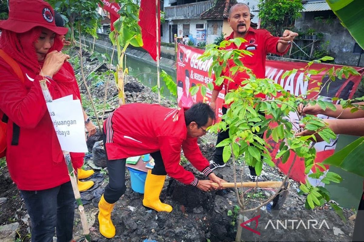 PDIP Surabaya menanam pohon dan bersih-bersih sungai di Simomulyo