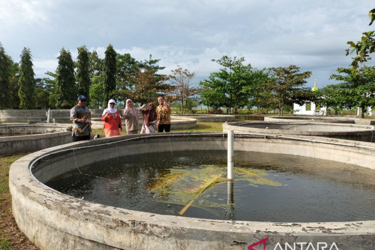 Konsumsi dan konservasi ikan sidat di Kabupaten Sukabumi