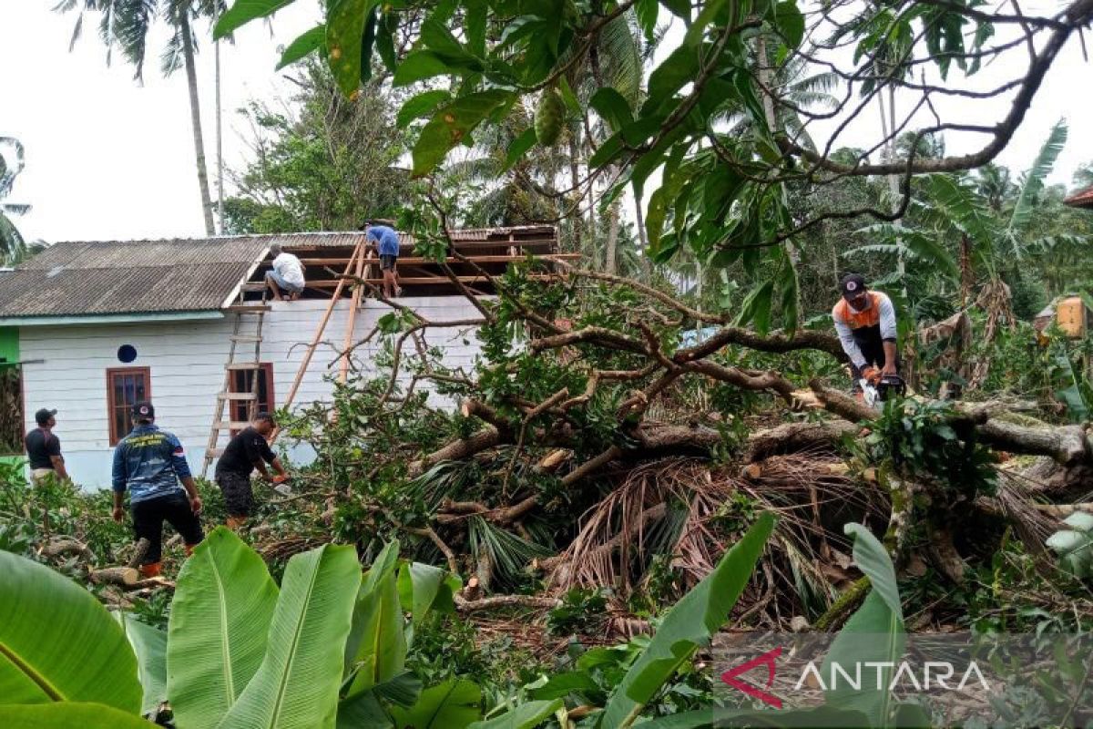 Satu rumah warga Natuna tertimpa pohon karena angin kencang