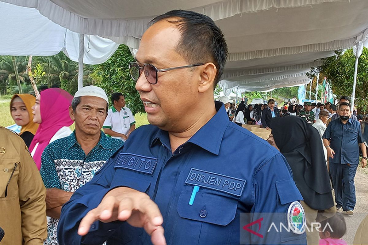 Dirjen PDP apresiasi pesta adat "murok jerami" Bangka Tengah