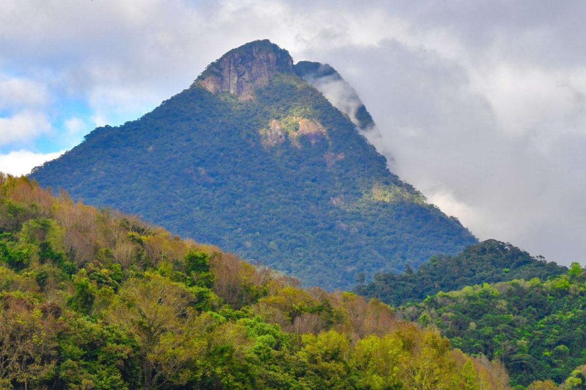 Menikmati pemandangan dari udara hutan hujan tropis di Hainan