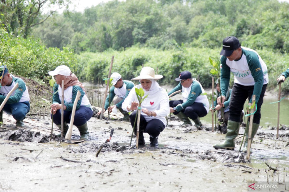 Festival Mangrove Jawa Timur