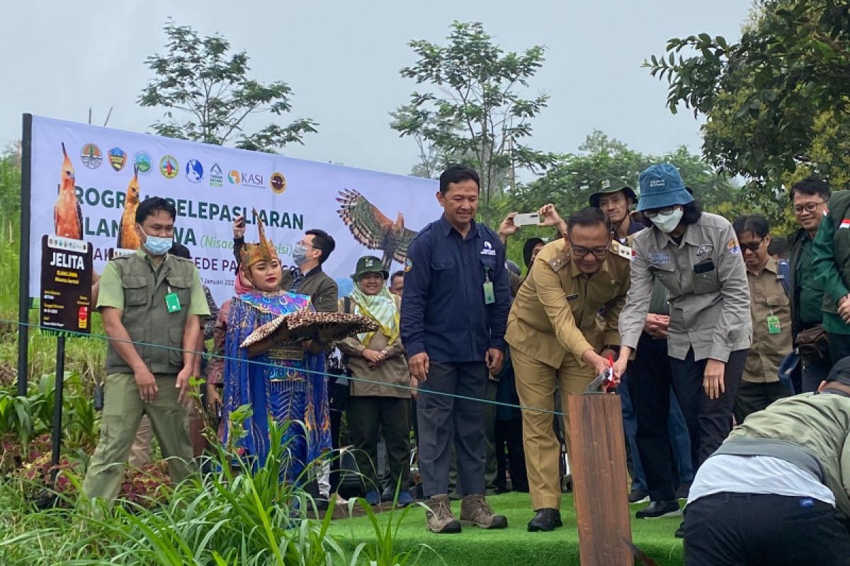 KLHK bersama TSI dan Smelting lepas liarkan dua Elang Jawa