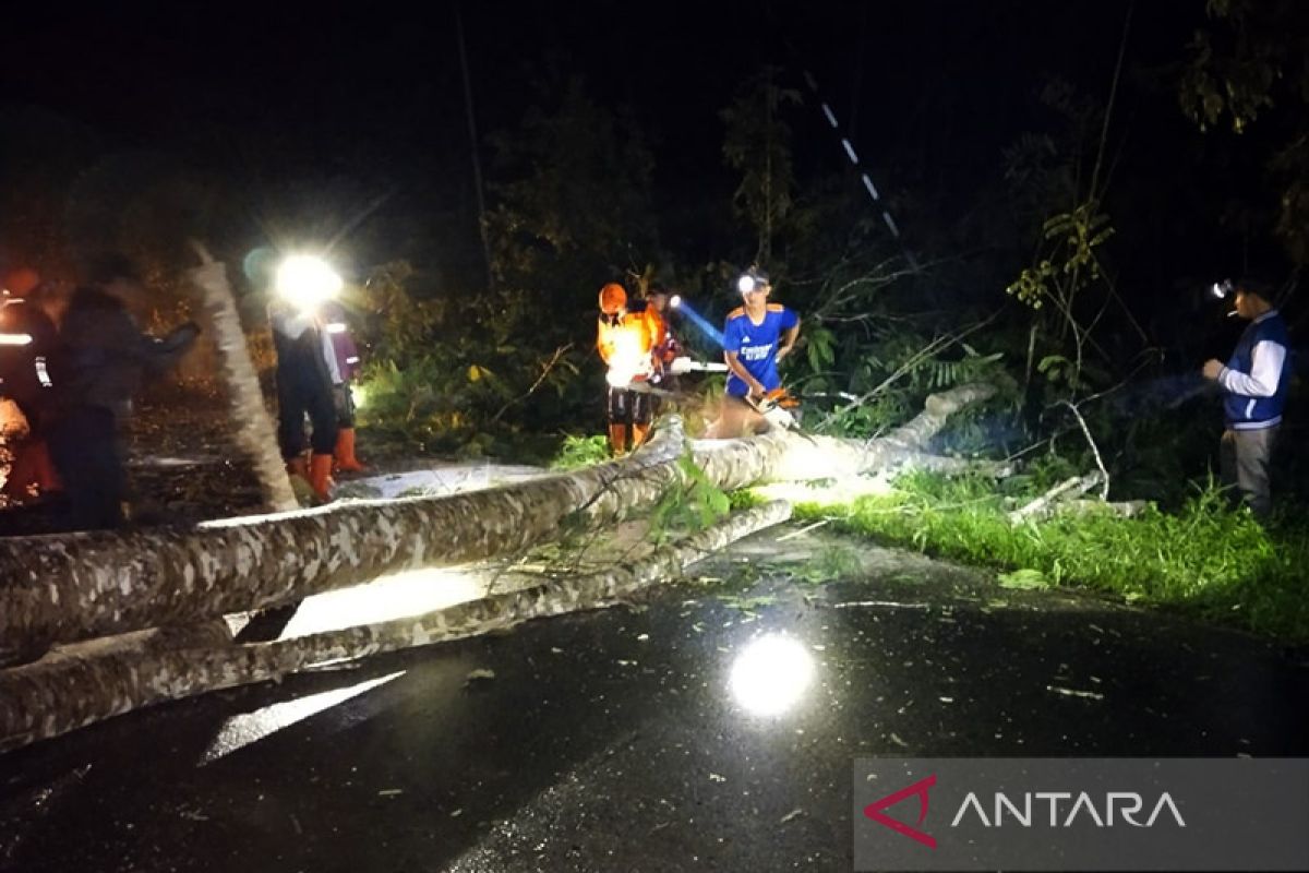 Layanan listrik tiga kecamatan di Natuna putus akibat angin kencang