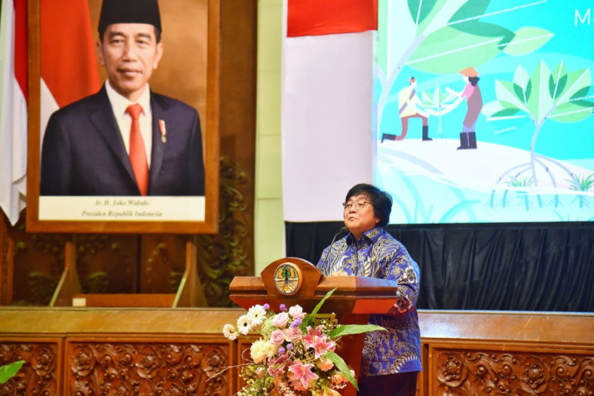 Presiden panggil Menteri LHK Siti Nurbaya ke Istana, ada apa ya?