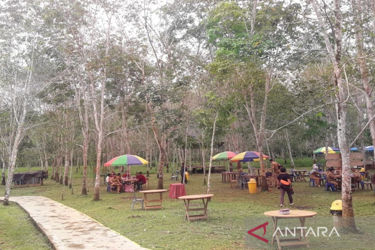 Taman edukasi di daerah wajib dilengkapi agrowisata durian