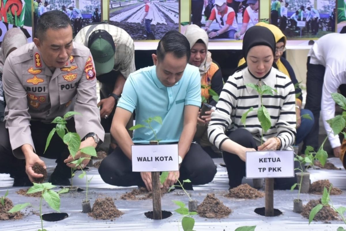 Pemkot Palangka Raya canangkan gerakan tanam cabai