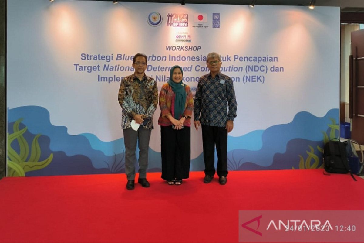 ITK Buton masuk dalam strategi blue carbon Indonesia