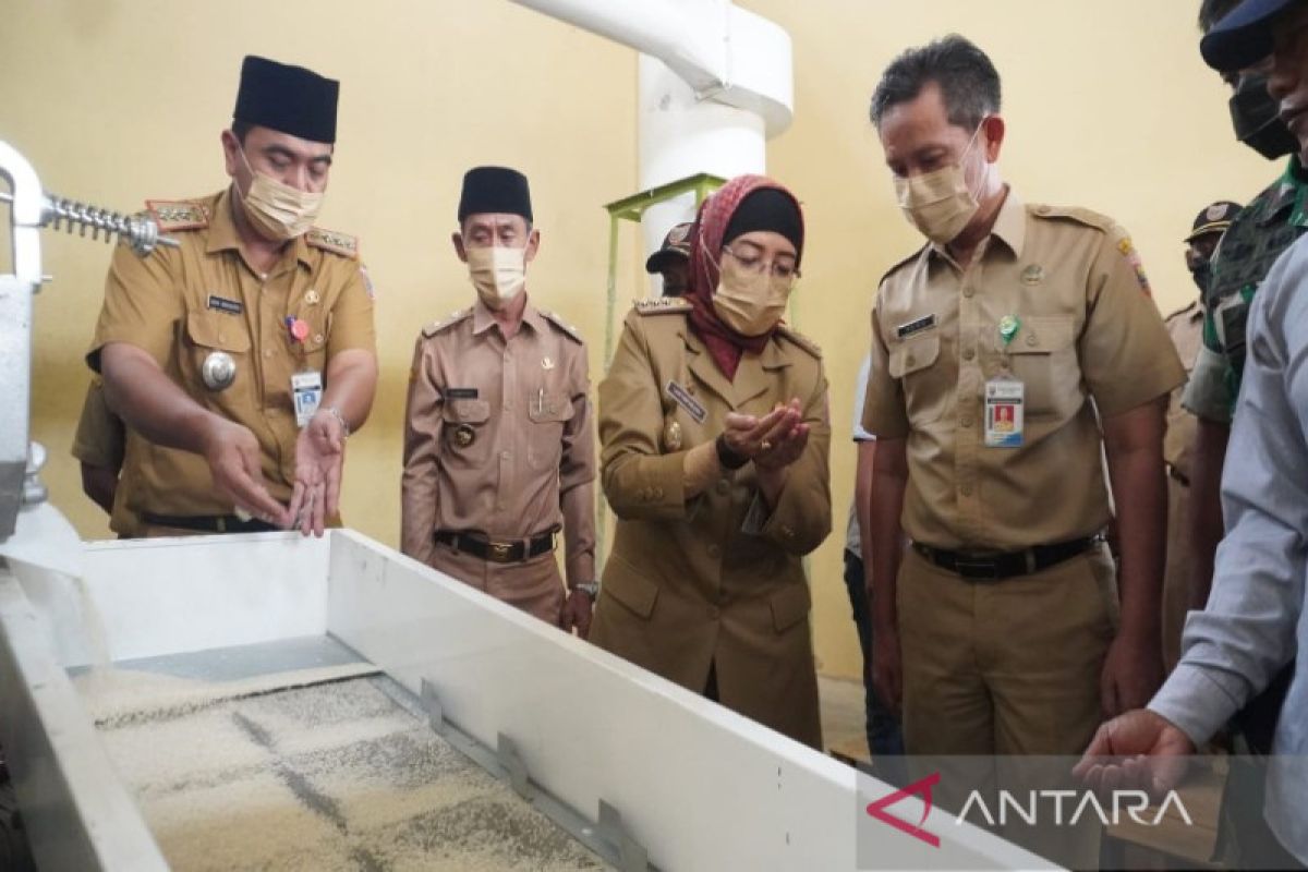 Pemkab Batang surplus beras 18 ribu ton