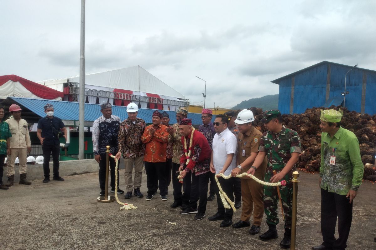 Harga minyak sawit  periode 1-15 Februari turun