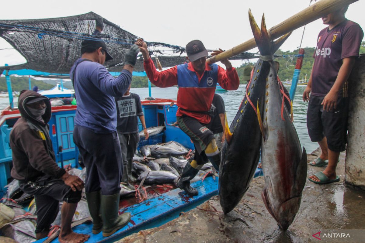 KKP proyeksikan Malang jalankan Kampung Nelayan Merah Putih