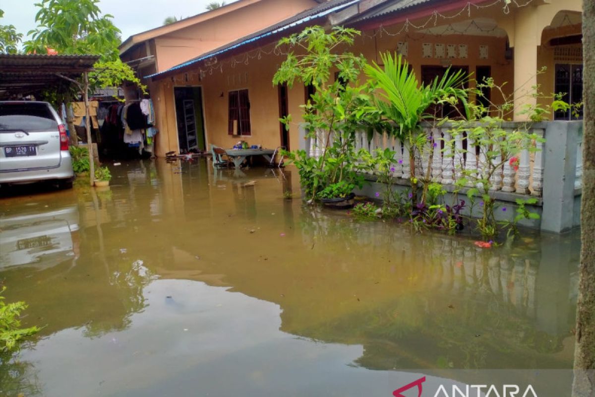 Warga Kepri diminta waspadai ular saat pasang air laut naik