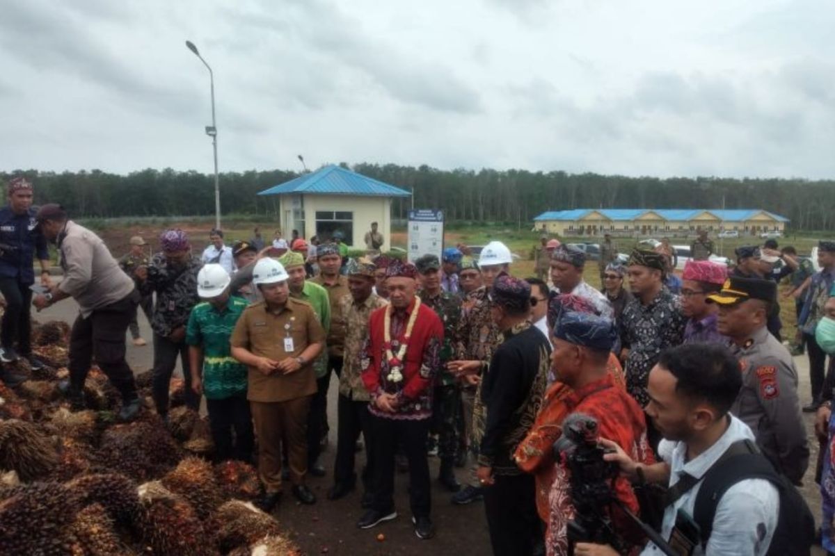 Menkop UKM katakan presiden ingin petani sawit bangun pabrik hilirisasi