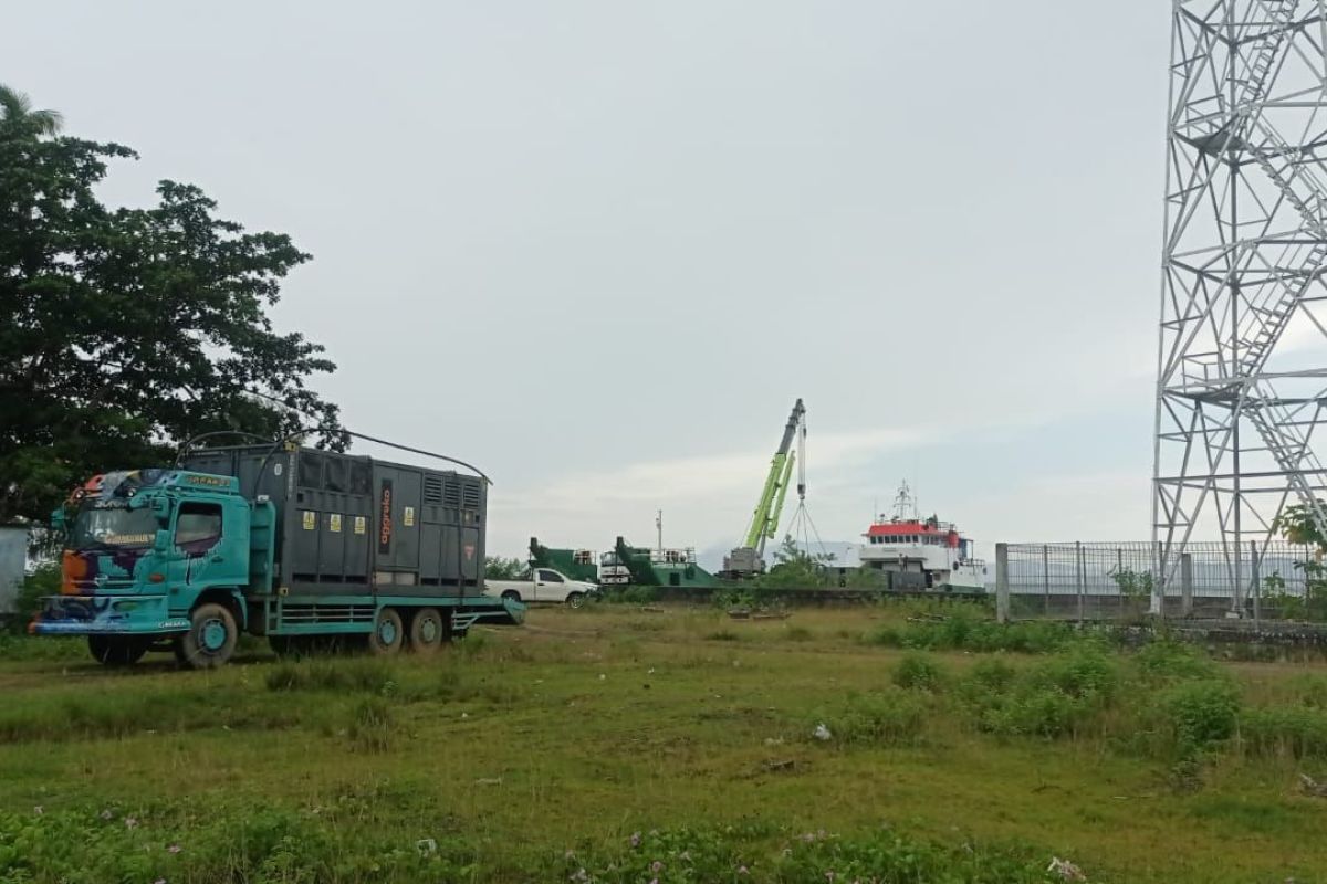 PLN perkuat sistem kelistrikan di Sanana Maluku Utara