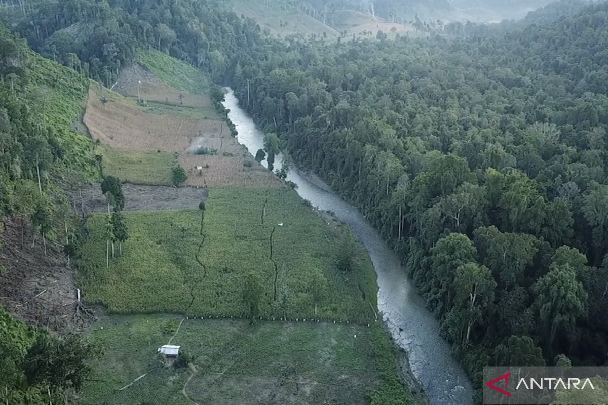 BPKHTL selesaikan seluruh tata batas kawasan hutan di Gorontalo