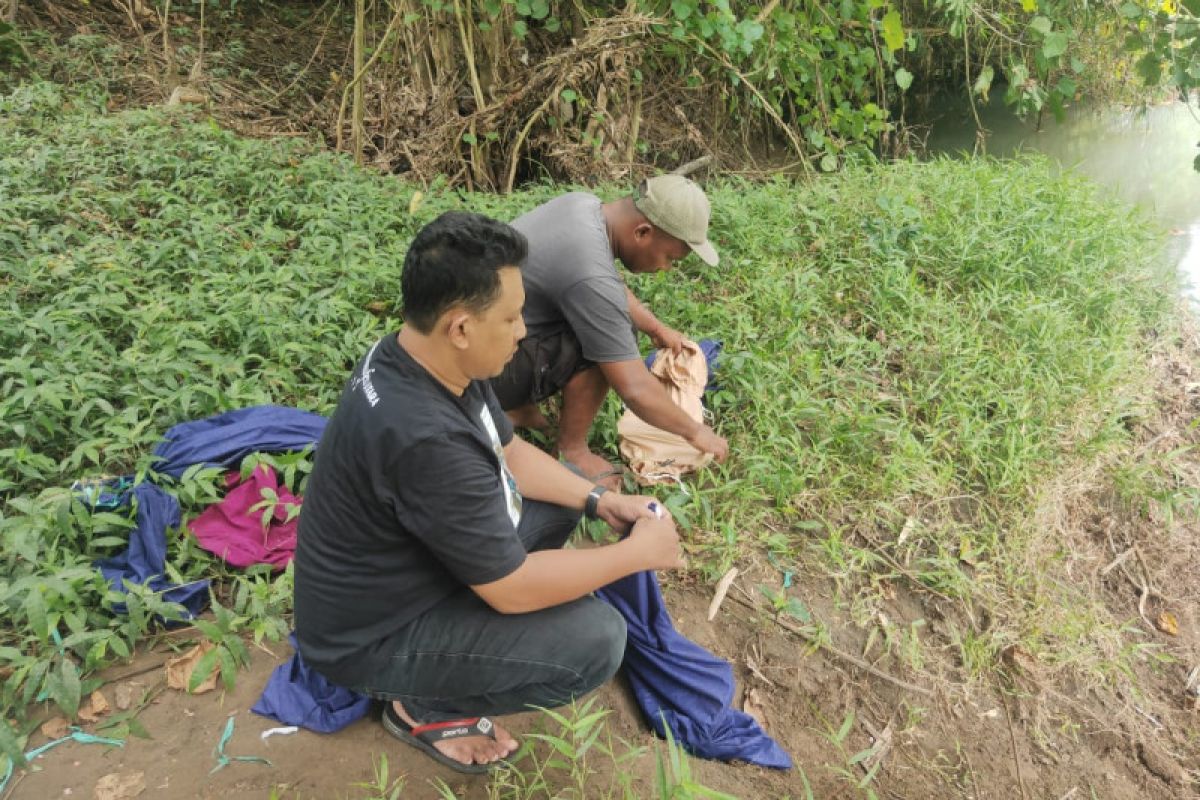 BKSDA Maluku lepasliarkan 13 satwa Soa Layar Halmahera