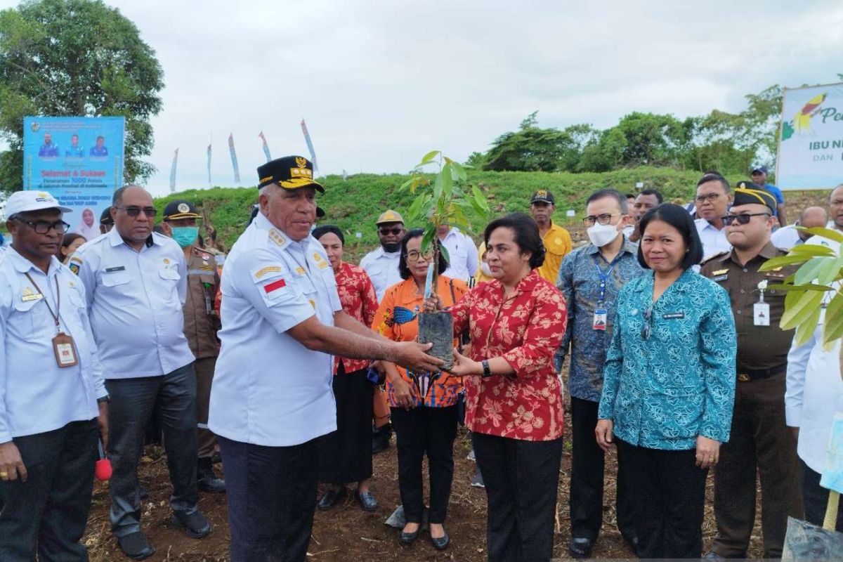 Papua Barat siapkan lahan 79, 4 hektare untuk pananaman buah