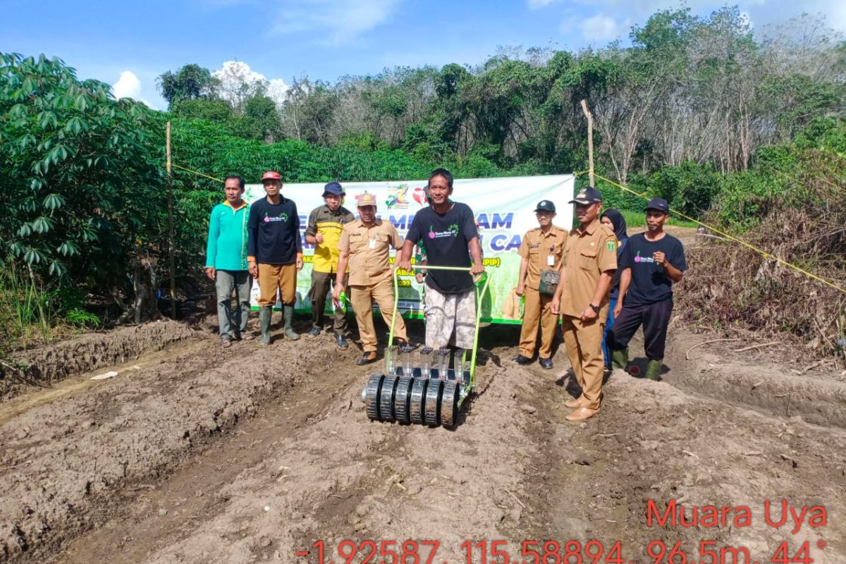 DKP2TPH Tabalong lakukan gerakan penanaman bawang tekan inflasi