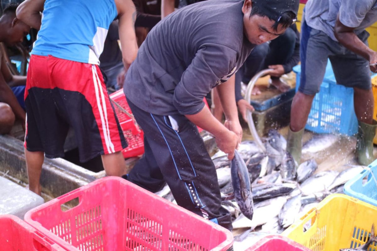 Fishlog perluas jaringan di industri perikanan