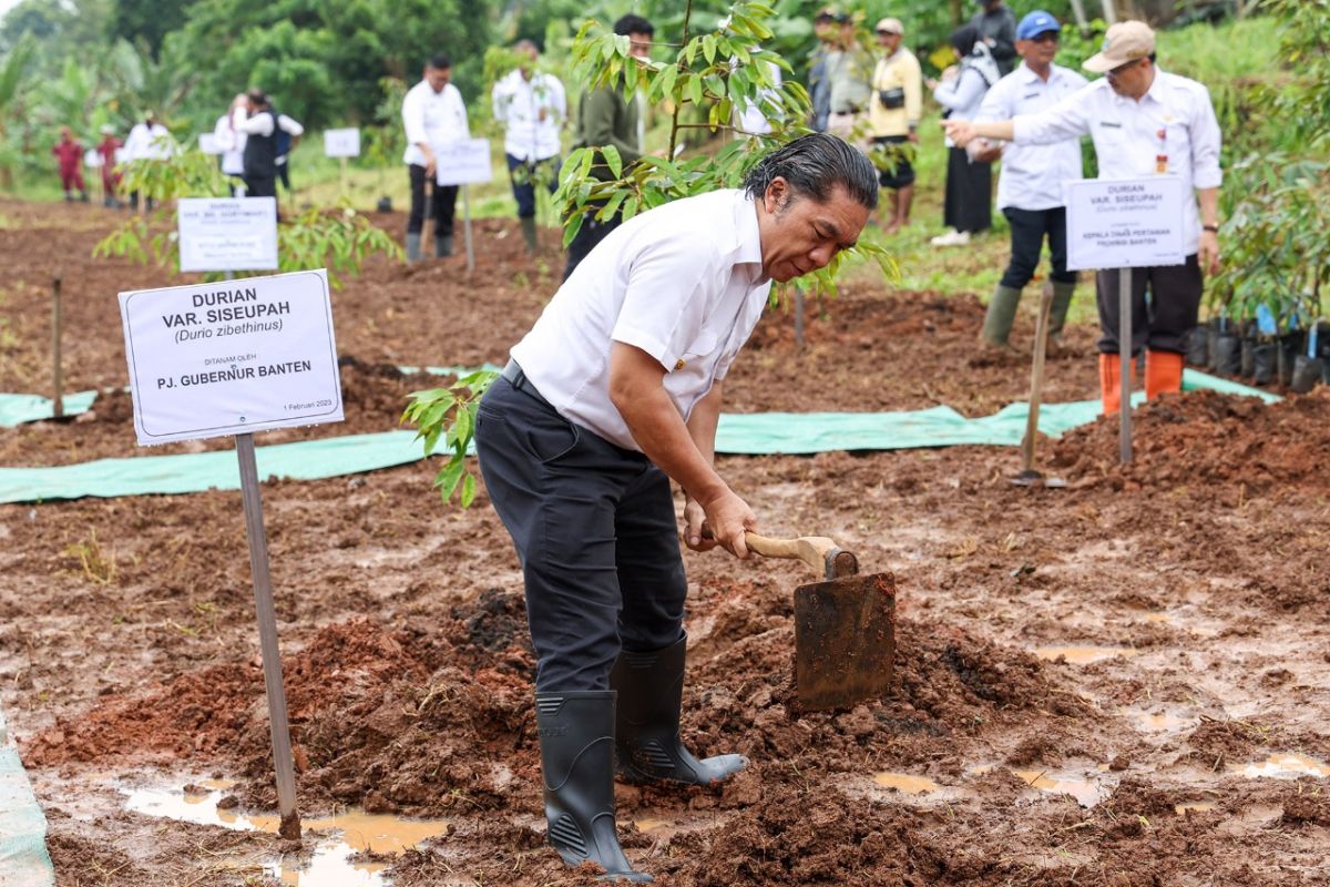 Pemprov Banten gelar gerakan penanaman 1.000 pohon serentak