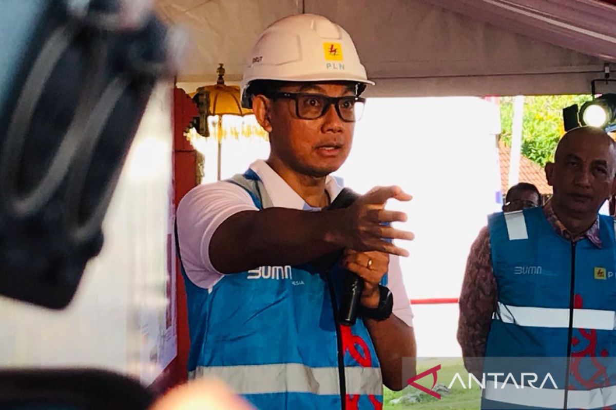 PLN: Listrik berbasis EBT dukung pengembangan kapasitas data Indonesia