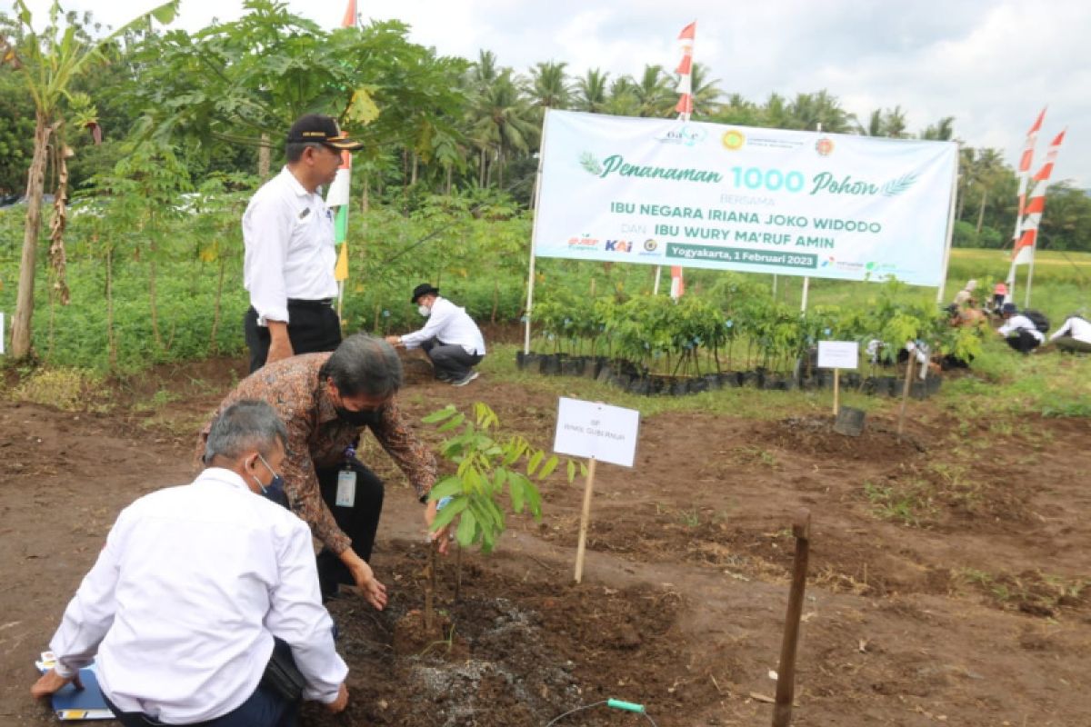 Pemkab Kulon Progo mendorong petani kuasai ilmu pertanian