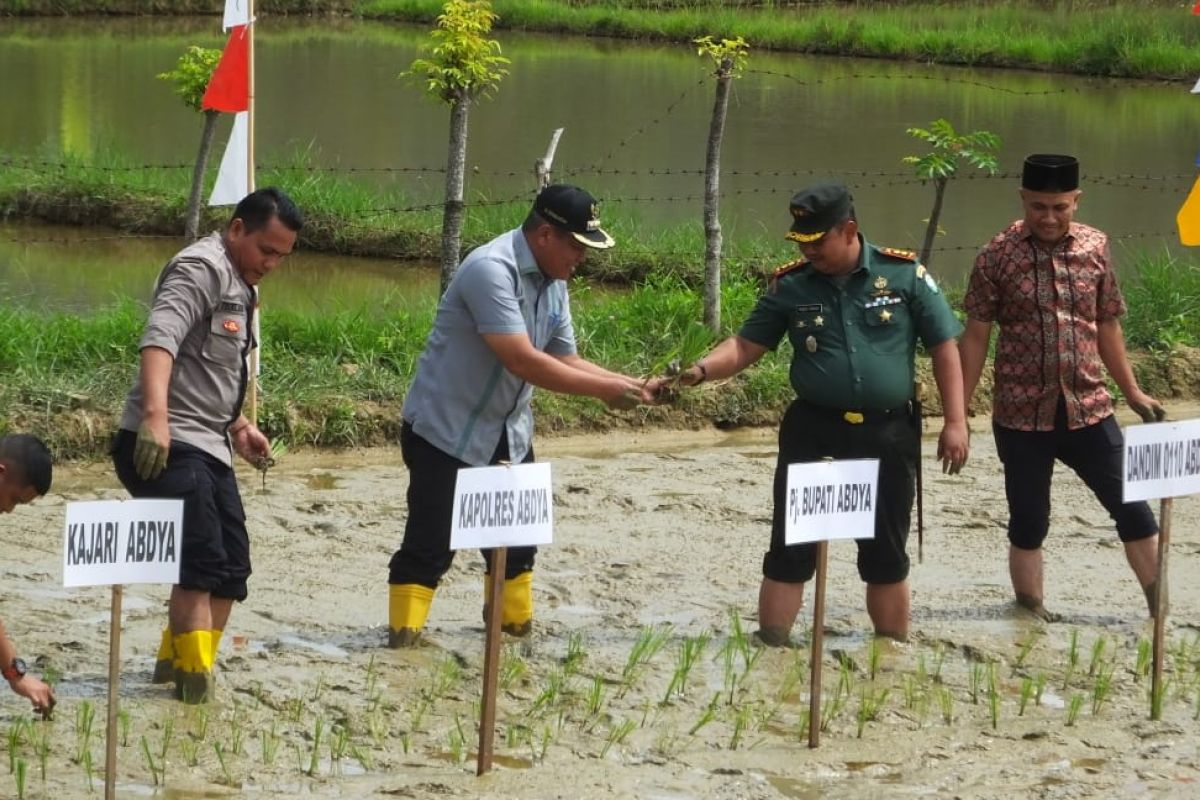 Pj Bupati Abdya ajak petani tingkatkan indeks tanam padi